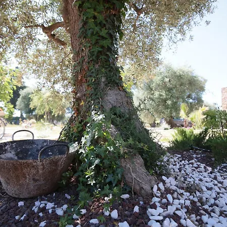 Racconti Di Puglia Bed & Breakfast